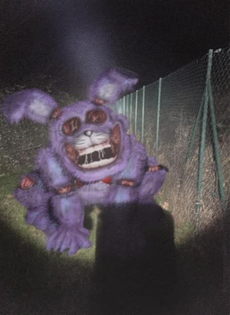 He plays a prominent role in the Five Nights at Freddy's series, although his origins are cryptic and unknown. . What did bonnie look like in scotts nightmare